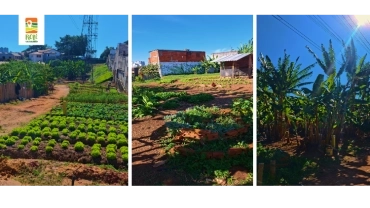 Horta Semeando o Futuro | Butanta | RP-UPSR-0182